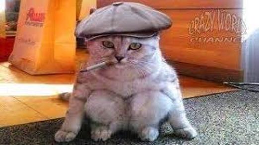 Что с лицом? Лимон съел? Что с лицом? Лимон съел?