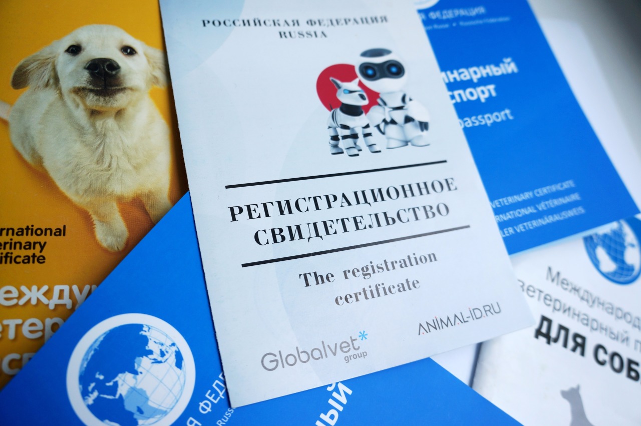В правительстве собираются ввести обязательную платную регистрацию домашних животных