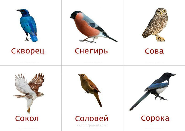 9 (700x495, 152Kb)