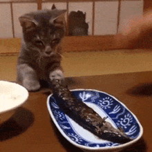 Эти прикольные анимации поднимут вам настроение