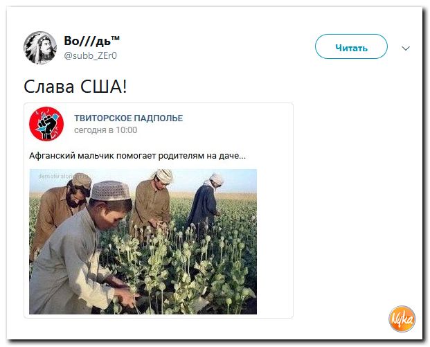 Обзор ситуации в мире с сарказмом и ехидной улыбкой Обзор ситуации в мире с сарказмом и ехидной улыбкой