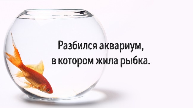 9 детских загадок, которые ставят взрослых в тупик 9 детских загадок, которые ставят взрослых в тупик
