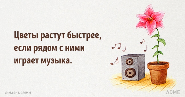 20 абсурдных фактов, которые на самом деле чистая правда