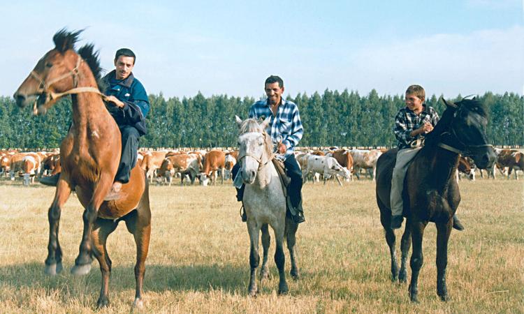 Работу Путина одобрили 90% цыган