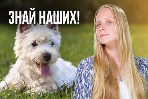 Socks5 С Открытыми Портами Под Reghound. Socks5 С Открытыми Портами Под Брут DLE FAQ по добыче