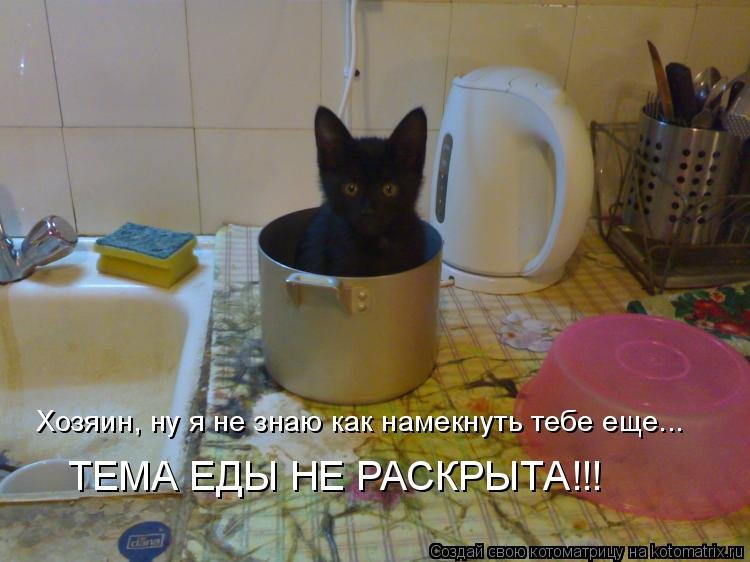Котяры и другие, всякие разные, уматные...