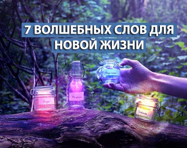 7 волшебных слов для новой жизни 7 волшебных слов для новой жизни