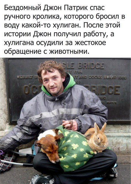 Эмоциональные фото и картинки с надписями со смыслом (11 фото) Эмоциональные фото и картинки с надписями со смыслом (11 фото)