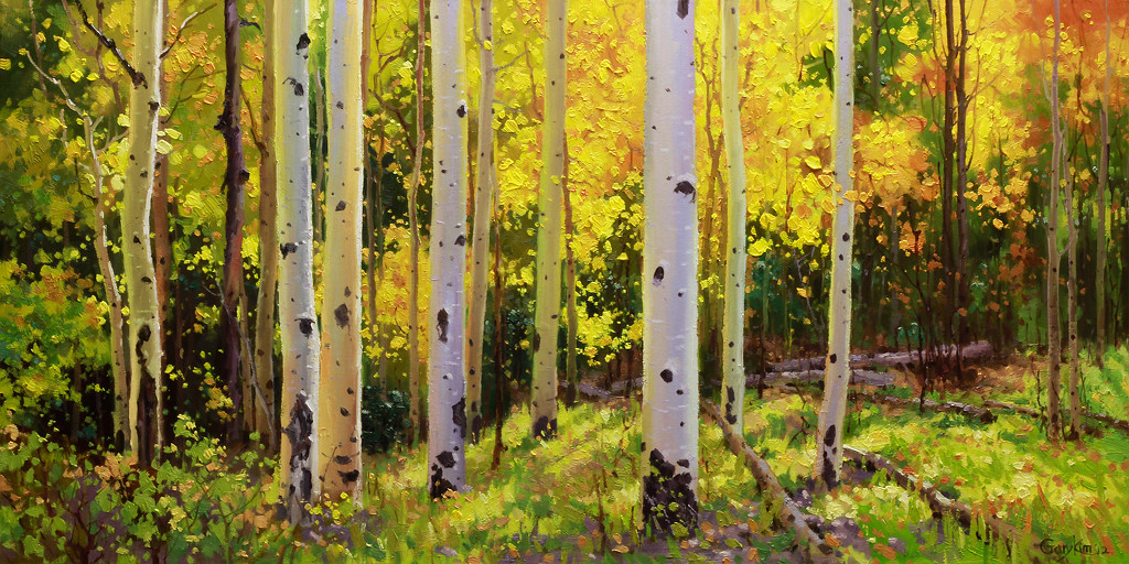 Gary Kim. Aspen Symphony