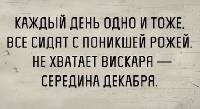 original.jpg#20513211093