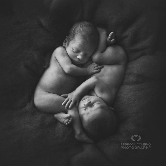 Photographer Takes Pictures Of Babies As Never Seen Before