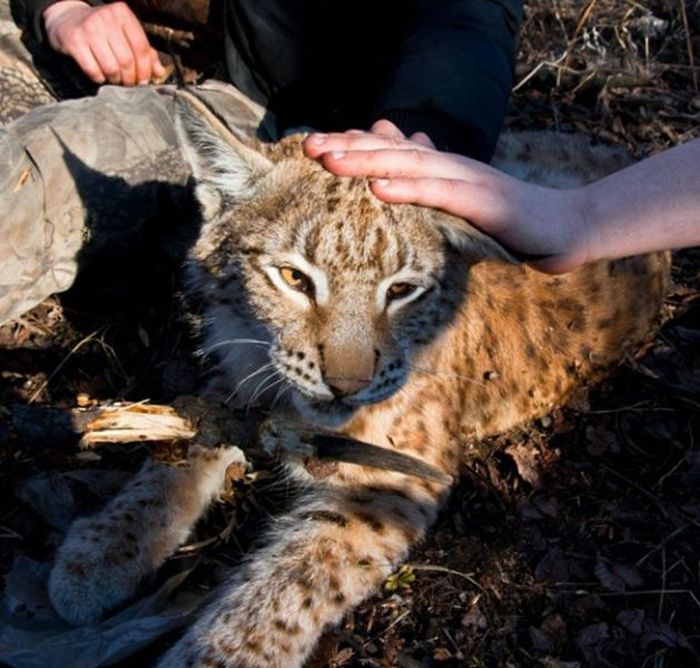 Вот это встреча! Очень неожиданно! (10 фото)