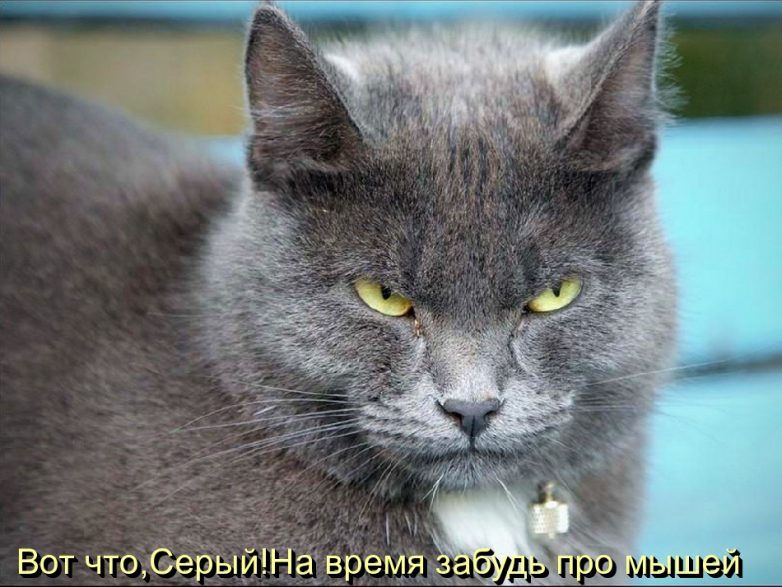 Дружба навеки