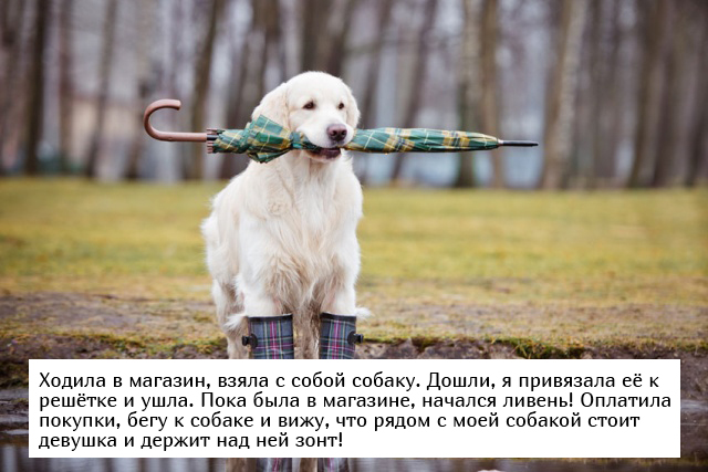 Невыдуманные добрые истории, которые настроят вас на позитивный лад (19 фото) Невыдуманные добрые истории, которые настроят вас на позитивный лад (19 фото)