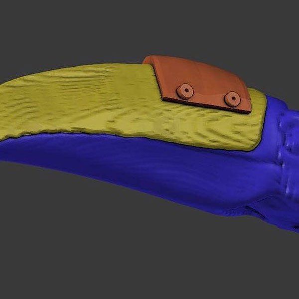 Раненому тукану напечатали новый клюв на 3D-принтере Раненому тукану напечатали новый клюв на 3D-принтере