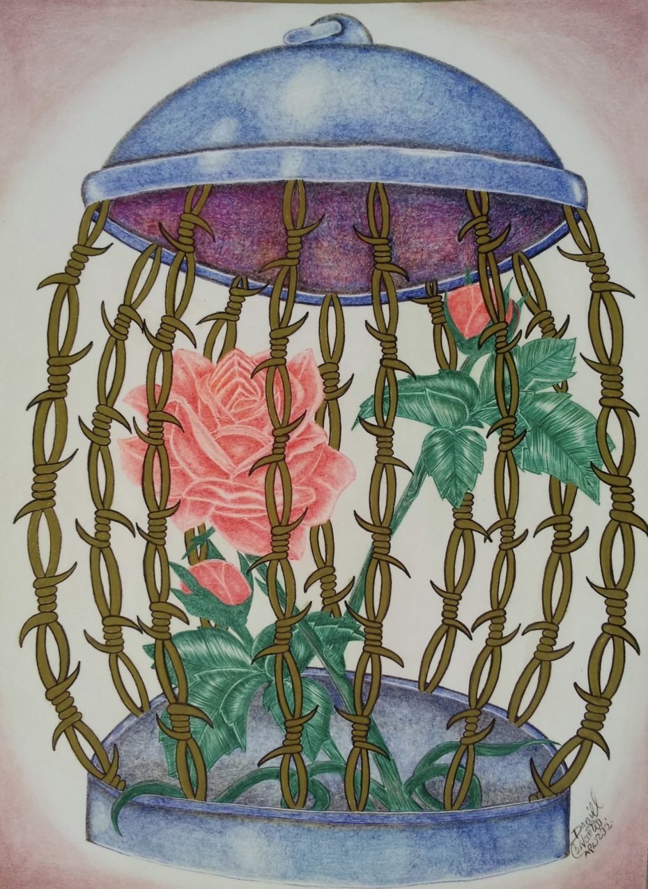 Daniel-Cervantes-Rose-Encaged-scaled-930x1275 (1).jpeg Daniel-Cervantes-Rose-Encaged-scaled-930x1275 (1).jpeg