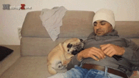 Эти прикольные анимации поднимут вам настроение