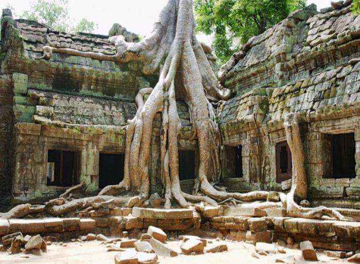 Место интересное руинами древнего города Ангкор, которые скрывались в джунглях от посторонних глаз многие века.