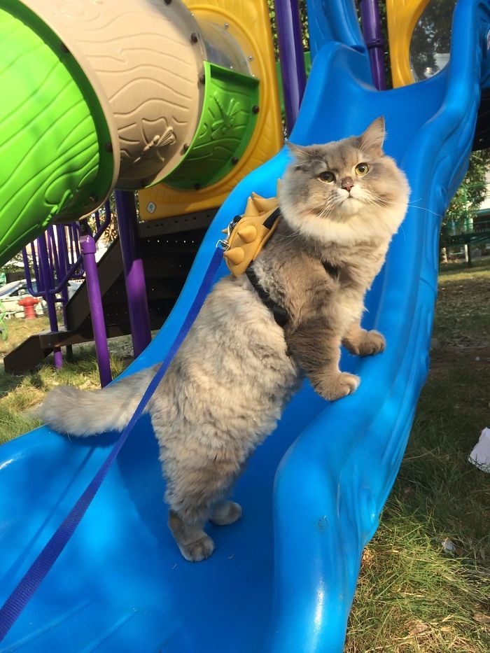 Суперзвезда из Таиланда