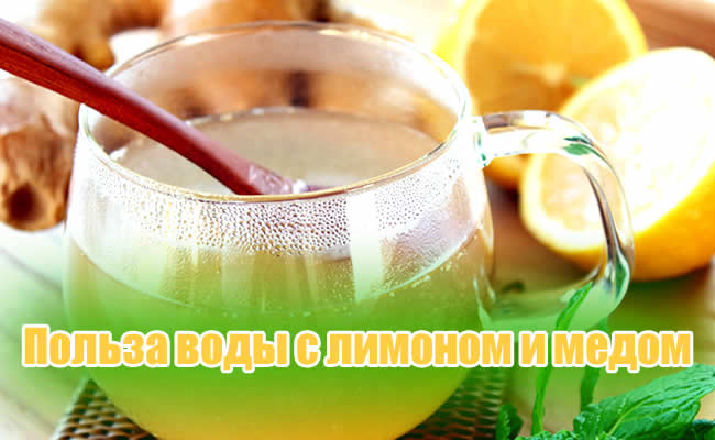 Очищение водой с лимоном и медом Очищение водой с лимоном и медом