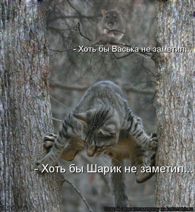Мысли вслух :)