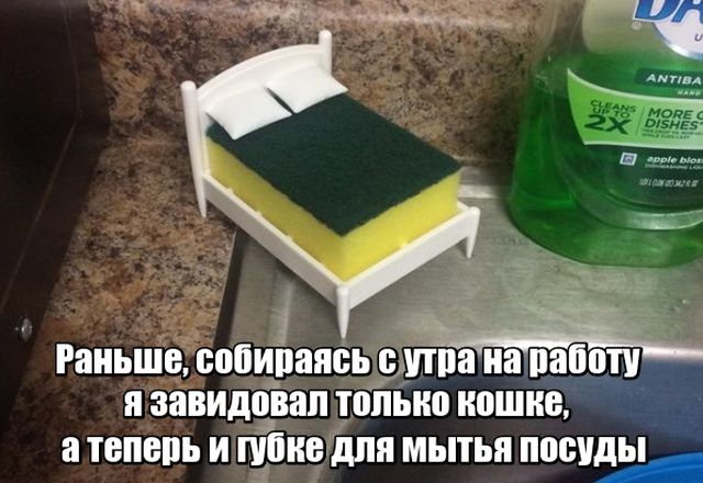 Подборка картинок Подборка картинок