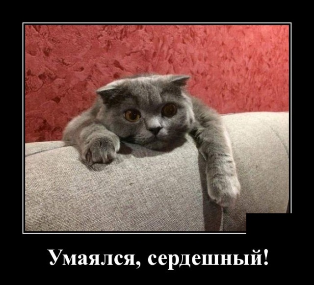 Забавные и новые демотиваторы. 545 ( 30 фото ) Забавные и новые демотиваторы. 545 ( 30 фото )