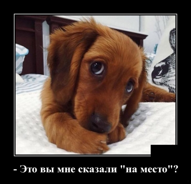 Демотиваторы Демотиваторы