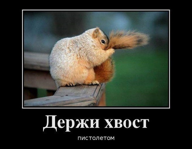 А где хотите жить вы? А где хотите жить вы?
