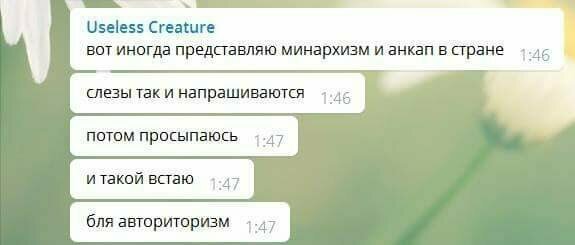 Ладно минархизм, а что такое анкап? Граммар-наци плачут в сторонке
(21 фото)
