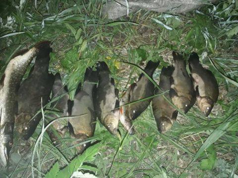 В Мордовском районе стало меньше рыбных браконьеров