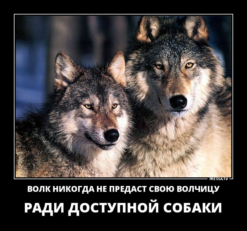 Новые позитивные демотиваторы о жизни Новые позитивные демотиваторы о жизни