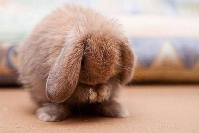 Именно так и выглядит обида) Именно так и выглядит обида)