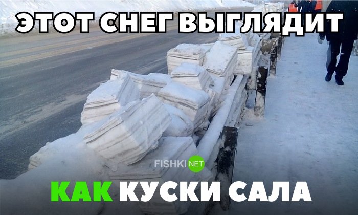 Этот снег выглядит, как куски сала Этот снег выглядит, как куски сала авто, автомобили, автоприкол, автоприколы, подборка, прикол, приколы, юмор