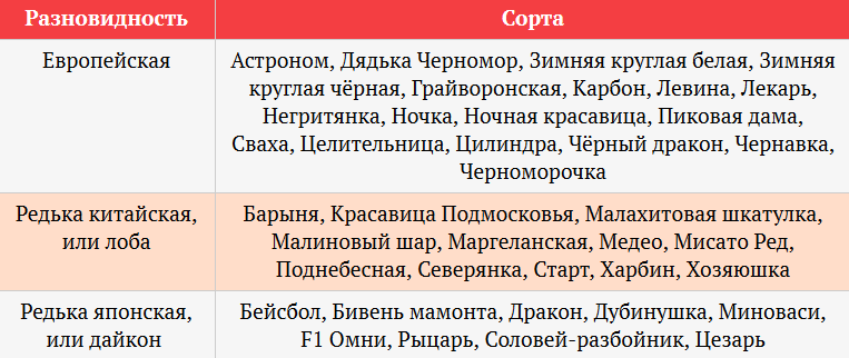 КАК ВЫРАСТИТЬ РЕДЬКУ КАК ВЫРАСТИТЬ РЕДЬКУ