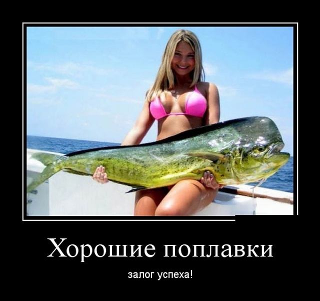 Забавные и новые демотиваторы. 545 ( 30 фото ) Забавные и новые демотиваторы. 545 ( 30 фото )