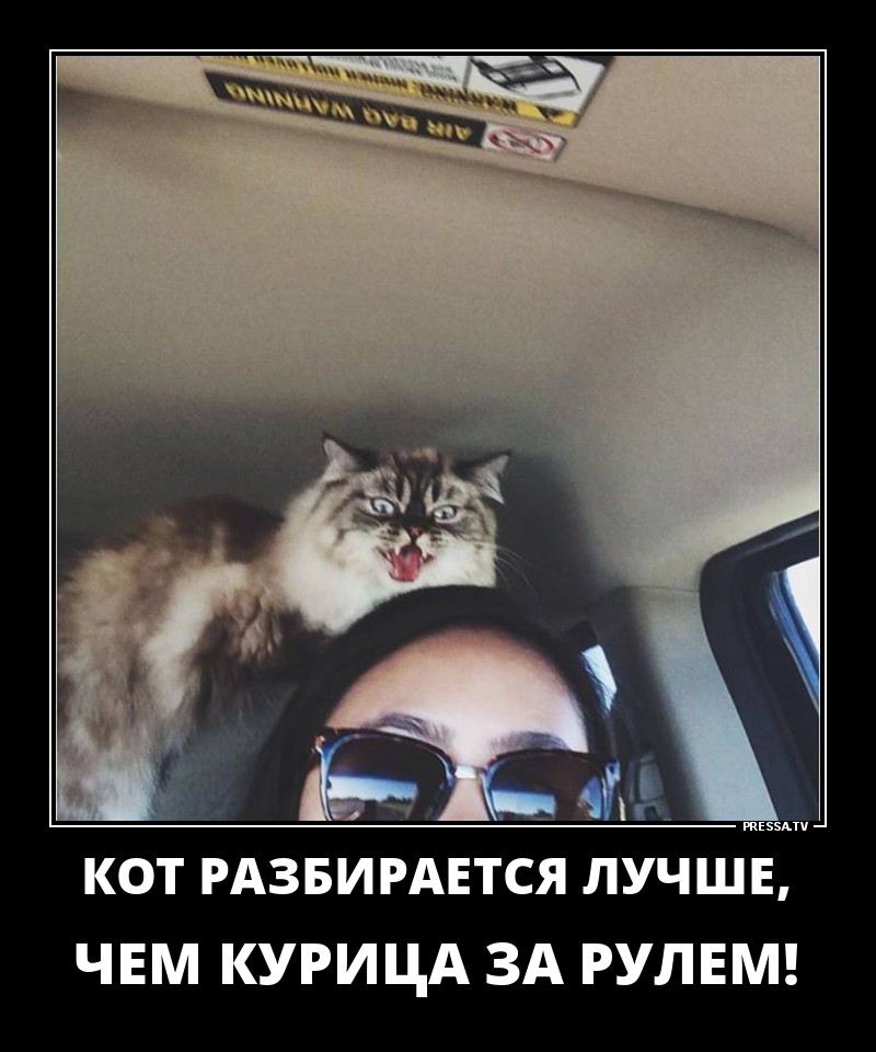 Новые позитивные демотиваторы о жизни Новые позитивные демотиваторы о жизни