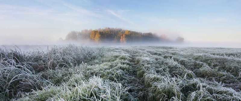 Сказочная красота Белоруссии зимой в фотографиях Алексея Угальникова зима, прекрасное, природа, фотографии