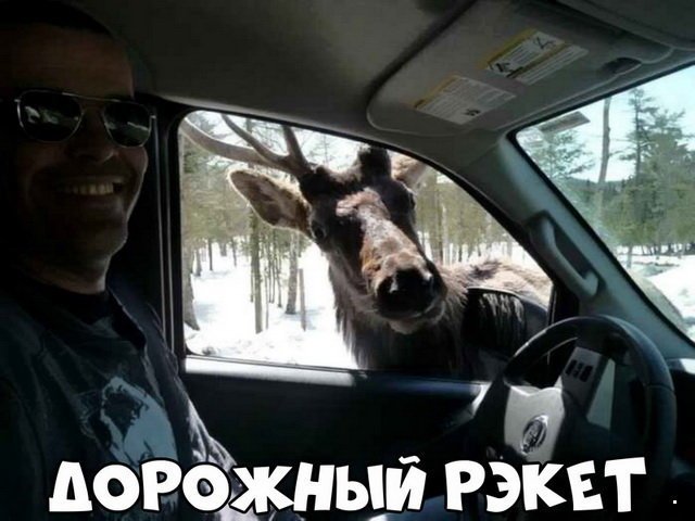Автовсячина Автовсячина Автовсячина, авто, автомобиль, автоприкол, машина, прикол