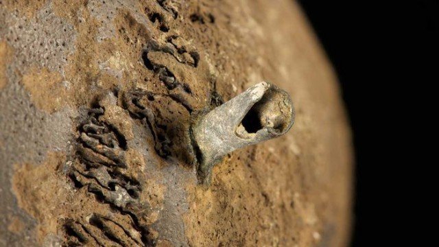 Другой ракурс Другой ракурс история, мумии, наука, скелеты