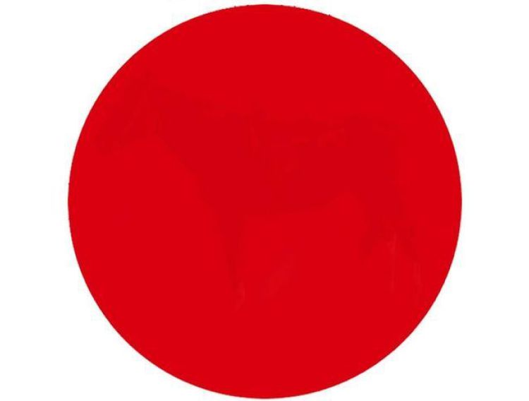 cc3f2531-9d22-42d3-8794-5998f04b8926