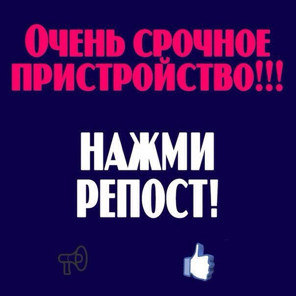 Если вы любите дарить подарки, то подарите шанс этому малышу! Шанс на жизнь, любимую семью, ласку, доброту!!!