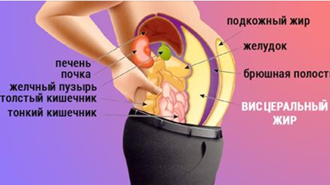 Как избавится от жира в животе в домашних условиях Как избавится от жира в животе в домашних условиях