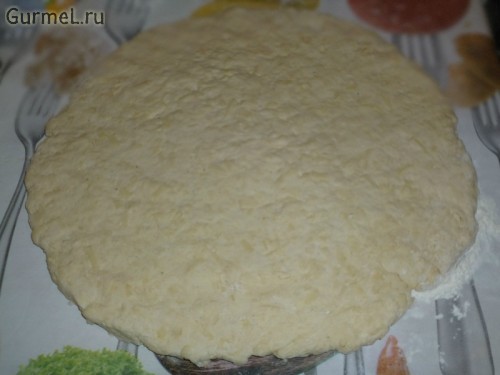 P1100253-500x375 (500x375, 31Kb)