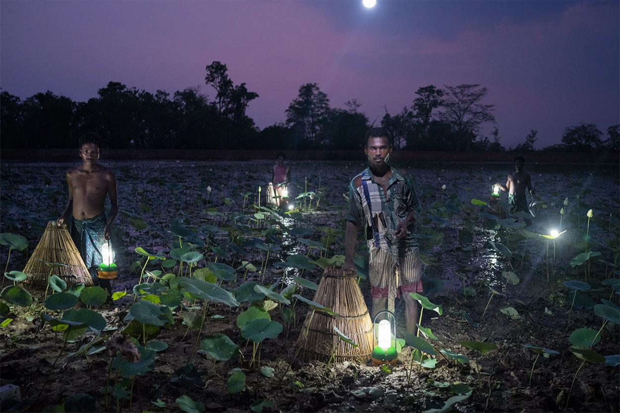    Atkins Ciwem Environmental Photographer of the Year 2016