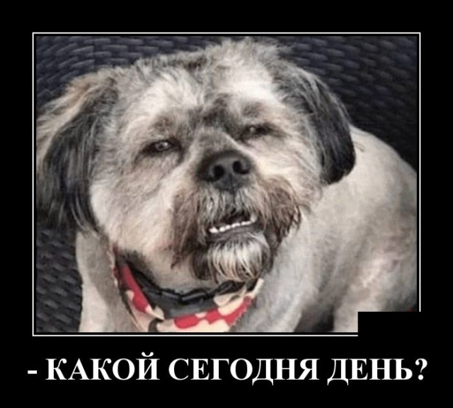 Демотиваторы Демотиваторы