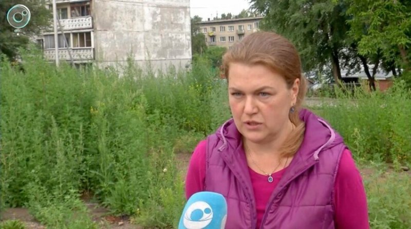 Собака сбежала из поезда и прошла 200 км тайги, чтобы вернуться к предавшим ее хозяевам Собака сбежала из поезда и прошла 200 км тайги, чтобы вернуться к предавшим ее хозяевам