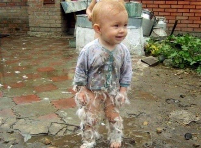 чудо в перьях