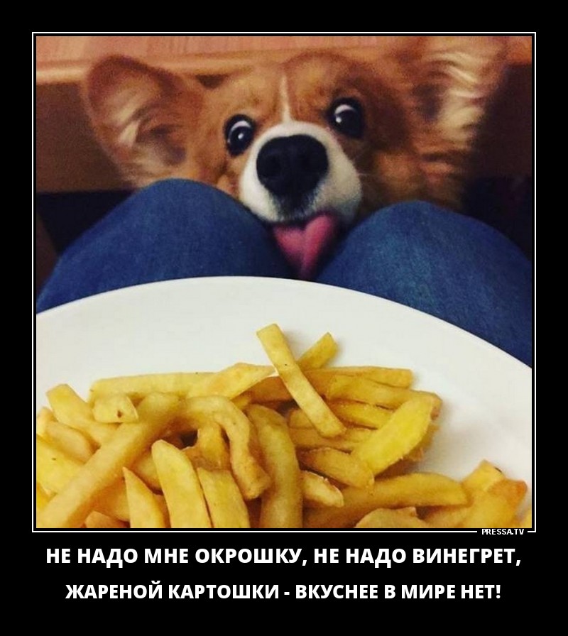 Новые позитивные демотиваторы о жизни Новые позитивные демотиваторы о жизни