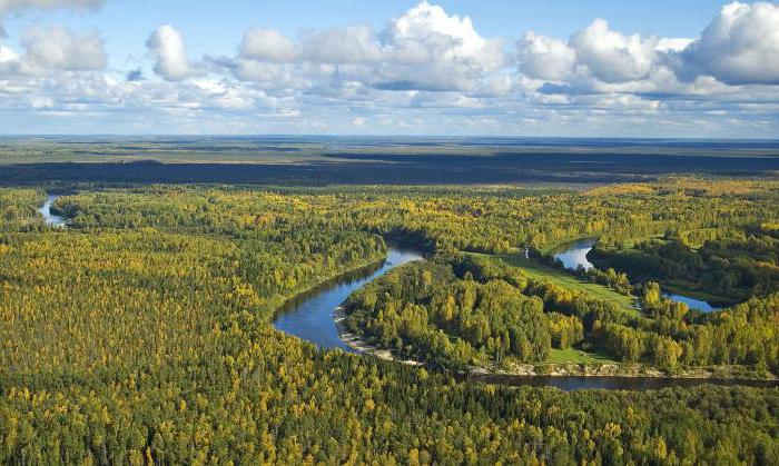 Сколько в Сибири находится природных богатств